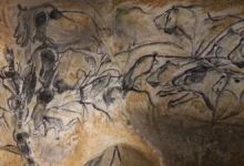 Photo of फ्रांस की इस गुफा में देखने को मिलती है 36 हजार साल पुरानी चित्रकारी