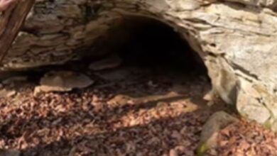 Photo of शख्स ने 3 दिन तक की खुदाई, घर के पीछे छुपा मिला ‘दूसरी दुनिया’ का रास्ता