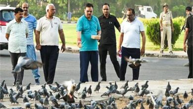Photo of मुख्यमंत्री भजनलाल ने सेंट्रल पार्क में पक्षियों के लिए बांधे परिंडे