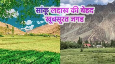 Photo of सांकू आकर देखें लद्दाख का अलग ही नजारा, माइंड को रिफ्रेश कर देगी ये जगह