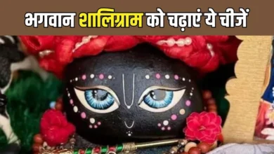 Photo of भगवान शालिग्राम को अर्पित करें ये चीजें, दूर होंगे जीवन के सभी दुख