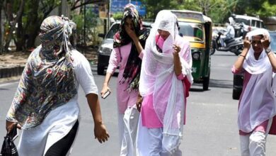 Photo of प्रचंड गर्मी से उबल रहा उत्तर भारत, दिल्ली में तापमान 50 डिग्री के पास