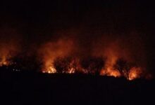 Photo of दौसा: जंगल में लगी आग ने दस हैक्टेयर पहाड़ी क्षेत्र को किया राख