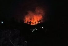 Photo of नहीं थम रही उत्तराखंड के जंगलों में लगी आग, नैनीताल का हुआ ऐसा हाल…