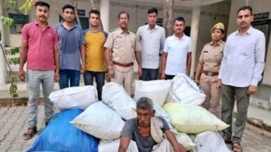 Photo of सिरोही: चोरी-छिपे गांजे की खेती करने के आरोप में एक व्यक्ति गिरफ्तार