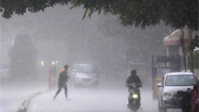 Photo of पंजाब में तूफान और तेज  बारिश का अलर्ट