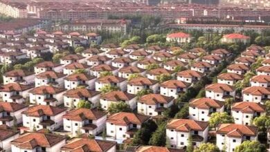 Photo of कहीं देखा है इतना अमीर गांव, शानदार घर, थीम पार्क