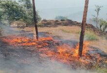 Photo of उत्तराखंड: आबादी तक पहुंची जंगल में लगी आग, ग्रामीणों में मची अफरा-तफरी