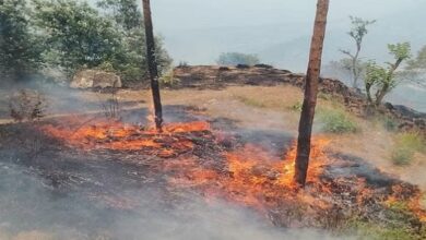 Photo of उत्तराखंड: आबादी तक पहुंची जंगल में लगी आग, ग्रामीणों में मची अफरा-तफरी