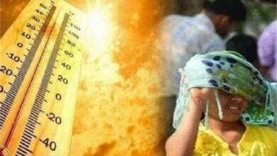 Photo of पंजाब में जानलेवा बनी गर्मी, 3 दिनों में इतनी मौतें 