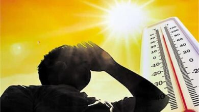 Photo of पंजाब में गर्मी के कड़े तेवर, आई.एम.डी. ने जारी की चेतावनी