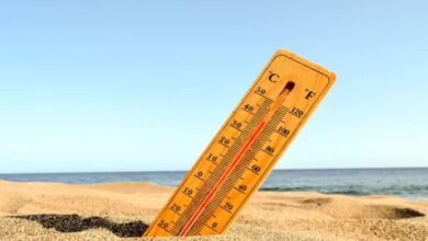 Photo of राजस्थान: आने वाले 48 घंटे चुभती-जलती गर्मी से दिलाएंगे राहत; एक जून को बारिश का अनुमान