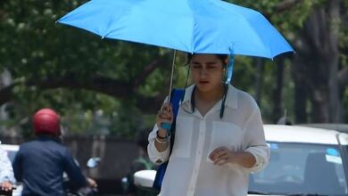 Photo of नौतपा में भट्ठी बना पंजाब, 48.5 डिग्री पर पहुंचा पारा