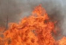 Photo of गिद्दड़बाहा में बरसी समागम में सिलिंडर फटने से लगी आग, सात सेवादार झुलसे
