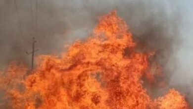 Photo of गिद्दड़बाहा में बरसी समागम में सिलिंडर फटने से लगी आग, सात सेवादार झुलसे