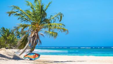 Photo of गर्मियां आते ही लौटने लगे वो … घूम रहे हैं आसपास, पर गलती से भी छू लिया