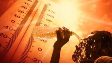 Photo of हरियाणा: आखिर कब तक सताएगी ये गर्मी, 47 डिग्री तक पहुंचा तापमान