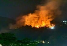 Photo of जल गए जंगल…कुमाऊं में 24 घंटे में 14 जगह आग का तांडव