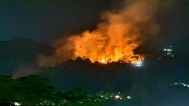 Photo of जल गए जंगल…कुमाऊं में 24 घंटे में 14 जगह आग का तांडव