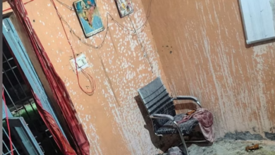 Photo of रोहतक में पब्लिक हेल्थ के डिस्पोजल केंद्र पर फटे केमिकल बॉक्स