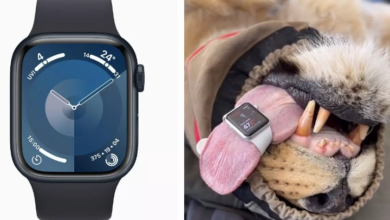 Photo of इंसान ही नहीं शेर के दिल की धड़कन माप रही Apple Watch; वैट ने किया दावा