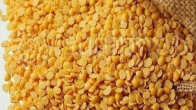 Photo of जुलाई में घट सकते हैं अरहर, चना और उड़द दालों के दाम