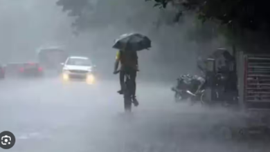 Photo of यूपी में मानसून पकड़ेगा रफ्तार; अगले दो दिन तक होगी भारी बारिश