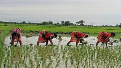 Photo of  प्रधानमंत्री किसान निधि बढ़ाने की RSS से जुड़ी संस्थाओं की मांग: बजट 2024
