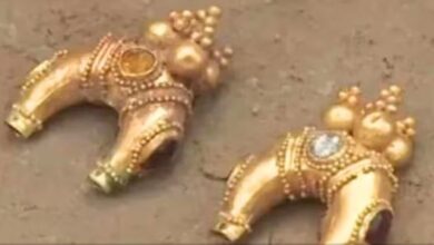Photo of चल रही थी खुदाई, तभी अंदर से निकलने लगे 2000 साल पुराने सोने के जेवर