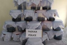 Photo of पंजाब पुलिस के हाथ लगी सबसे बड़ी अफीम की खेप