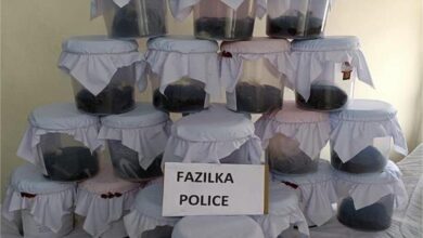 Photo of पंजाब पुलिस के हाथ लगी सबसे बड़ी अफीम की खेप