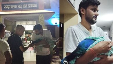 Photo of BHU कैंपस में कुत्ते का आतंक: राष्ट्रीय पक्षी मोर को नोचकर मार डाला