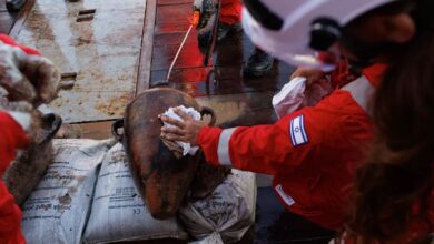 Photo of इजरायल के निकट समुद्र में मिला 3300 वर्ष पुराना जहाज