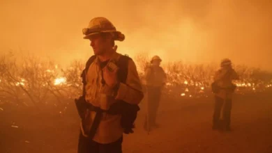Photo of लॉस एंजिल्स के जंगलों में भयानक आग, 10,000 एकड़ से ज्यादा प्रकृतिक संपदा जलकर राख