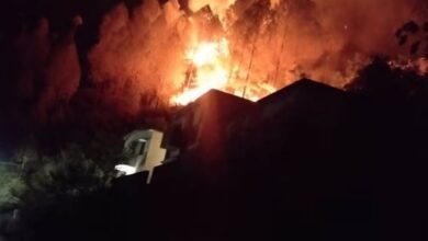 Photo of पौड़ी के जंगलों में भड़की आग, बाल संरक्षण गृह तक पहुंची, धू-धूकर जल रहा मणिकूट पर्वत