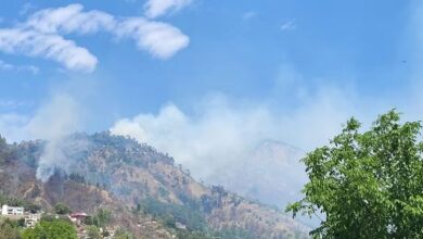 Photo of उत्तराखंड: हर दिन डेढ़ हेक्टेयर वन भूमि हो रही कम, पांच साल में ढाई हजार हेक्टेयर से अधिक वन भूमि हस्तांतरित