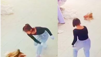 Photo of मुर्गे पर बरसाए थप्पड़, पटक-पटककर मारा