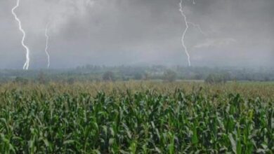 Photo of फिर कहर बरसाने लगी गर्मी, इस दिन से होगी प्री-मानसून की शुरुआत