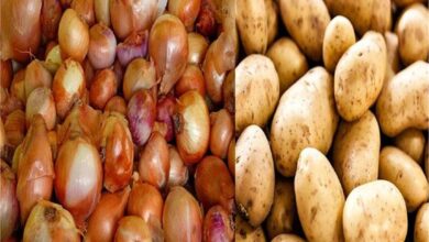 Photo of आलू-प्याज की कीमतों में आया उछाल