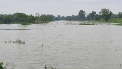 Photo of बिहार : मानसून की इंट्री होते ही रौद्र रूप दिखाने लगी कोसी नदी
