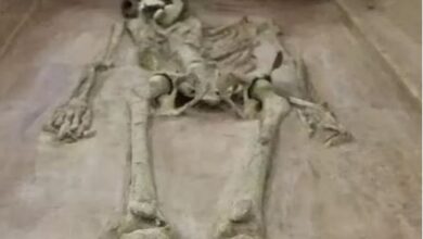 Photo of 4000 साल पुराने कंकाल से खुला ऐसा राज, चौंक गए साइंटिस्ट