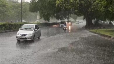 Photo of पंजाब में आंधी-तूफान के साथ होगी बारिश