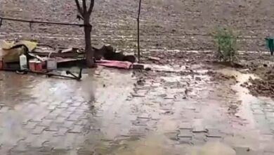 Photo of हरियाणा में आफत की बारिश: जींद में आंधी से गिरे 112 खंभे और 10 ट्रांसफार्मर