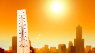 Photo of दिल्ली में आज 44 पर पहुंच सकता है पारा