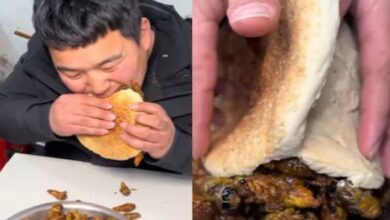 Photo of खाना भूल जाएंगे बर्गर-पिज्जा, जब देखेंगे यह वीडियो, उड़ जाएंगे होश