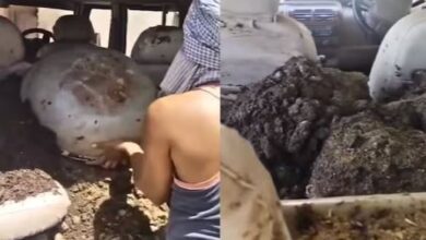 Photo of हे प्रभु…ये क्या हुआ! कार को बना दिया मिट्टी ढोने वाली गाड़ी