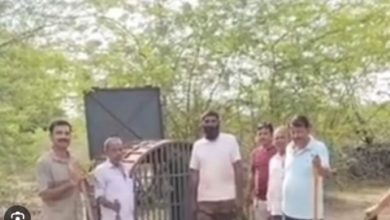 Photo of राजस्थान के इस गांव में भूत बनकर डरा रहा भालू