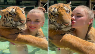 Photo of ‘लक्ष्मण’ को देखते ही दिल हार बैठी लड़की, स्विमिंग पूल में किया प्यार