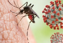 Photo of डेंगू और स्वाइन फ्लू हो सकते हैं खतरनाक, जाने इस के लक्षण और उपचार..