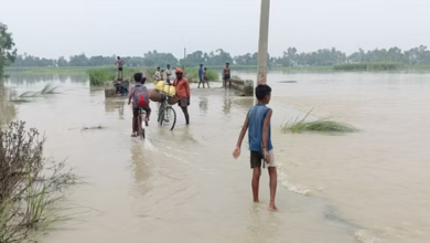 Photo of यूपी: बारिश से जुड़ी घटनाओं में 10 की मौत, प्रदेश में 13 जिले बाढ़ प्रभावित